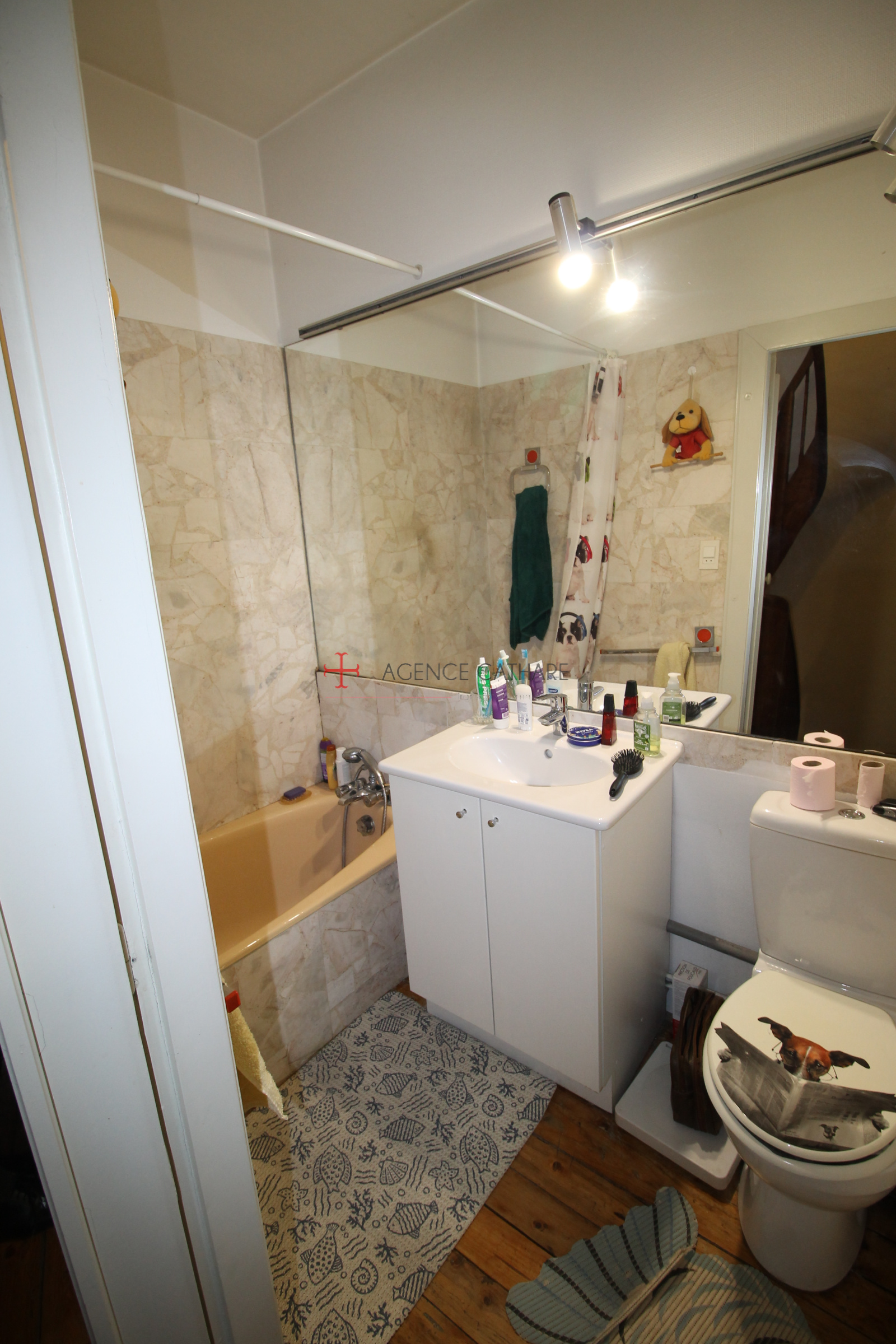 Image_, Maison, Albi, ref :5481