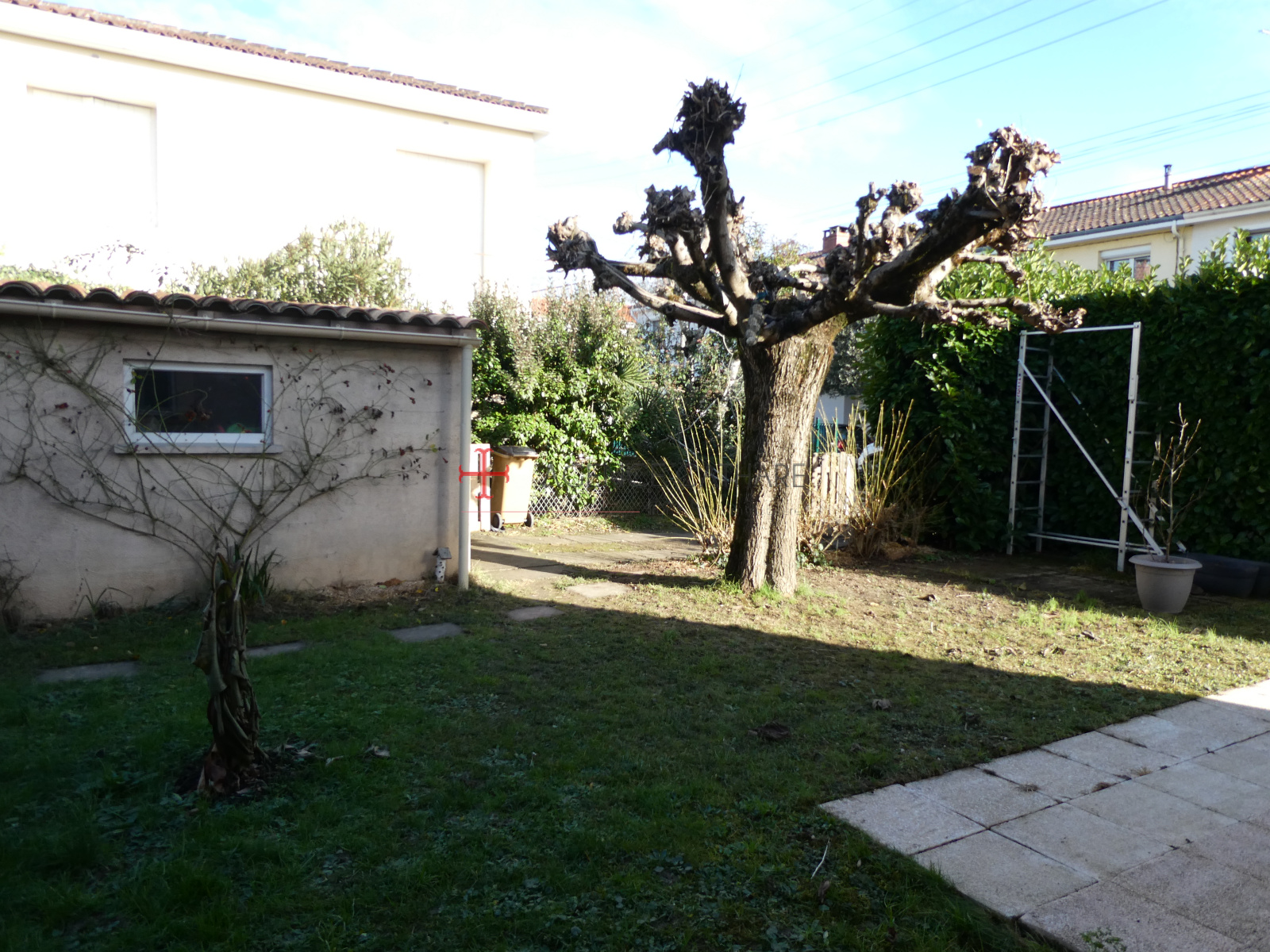 Image_, Maison, Albi, ref :5419