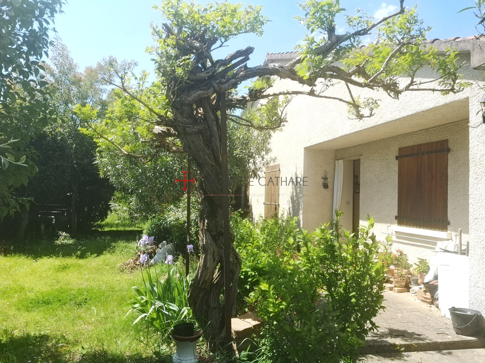 Image_, Maison, Albi, ref :5447