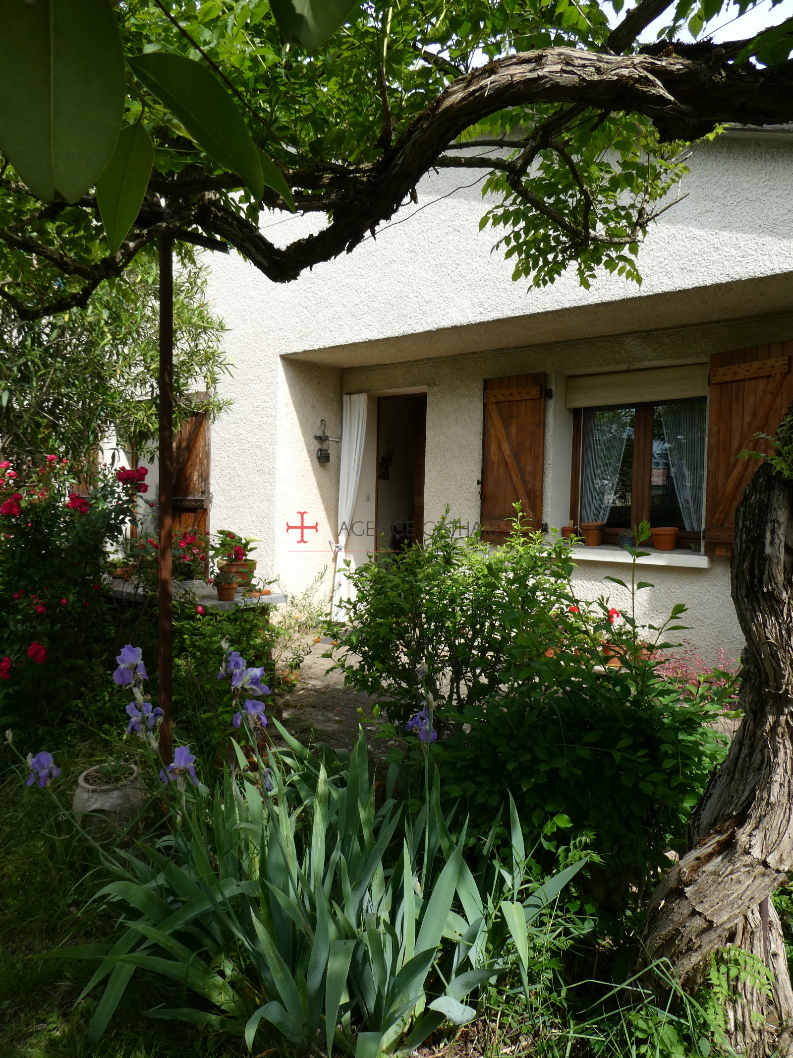 Image_, Maison, Albi, ref :5447