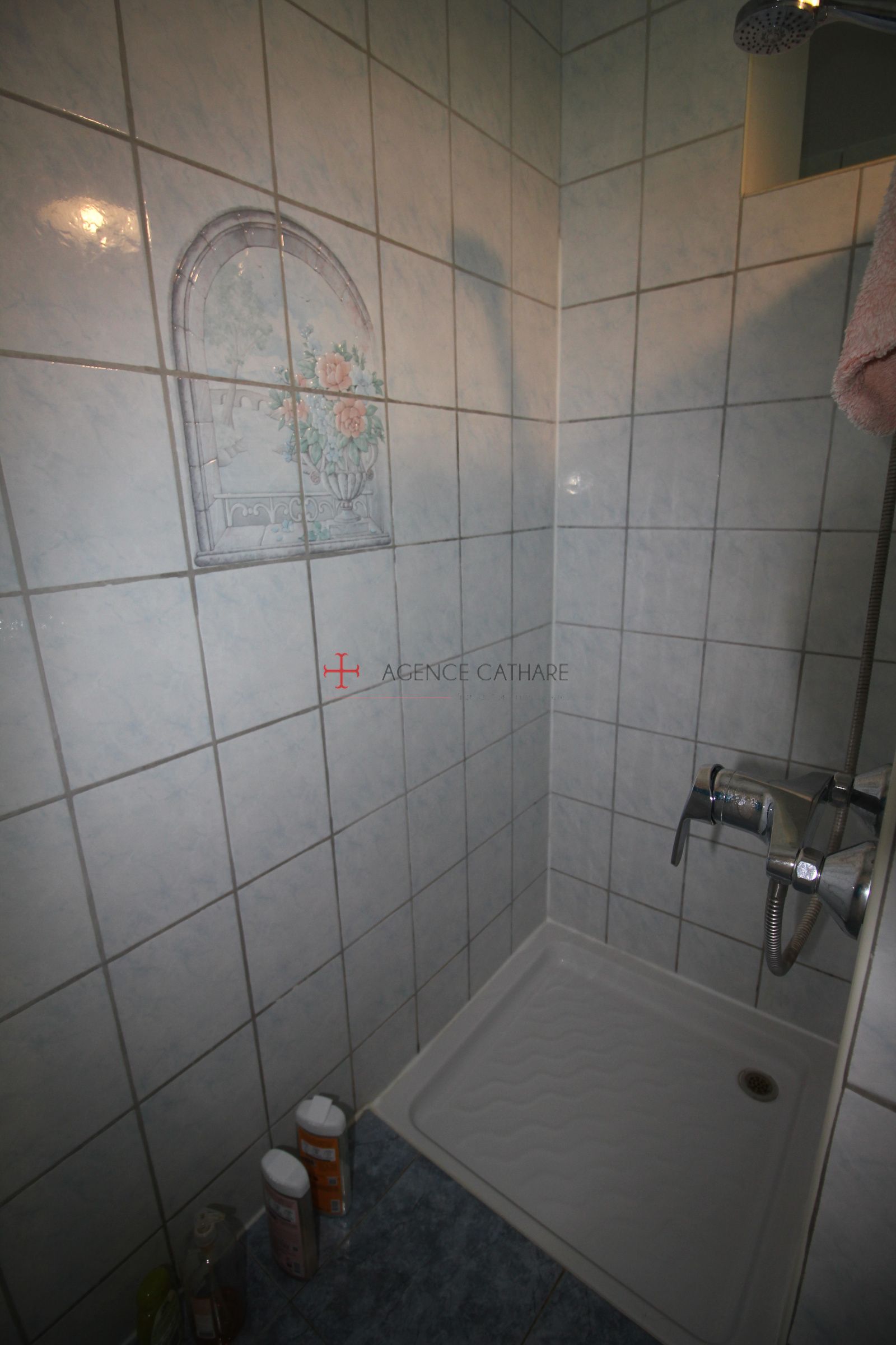 Image_, Maison, Sainte-Croix, ref :5463