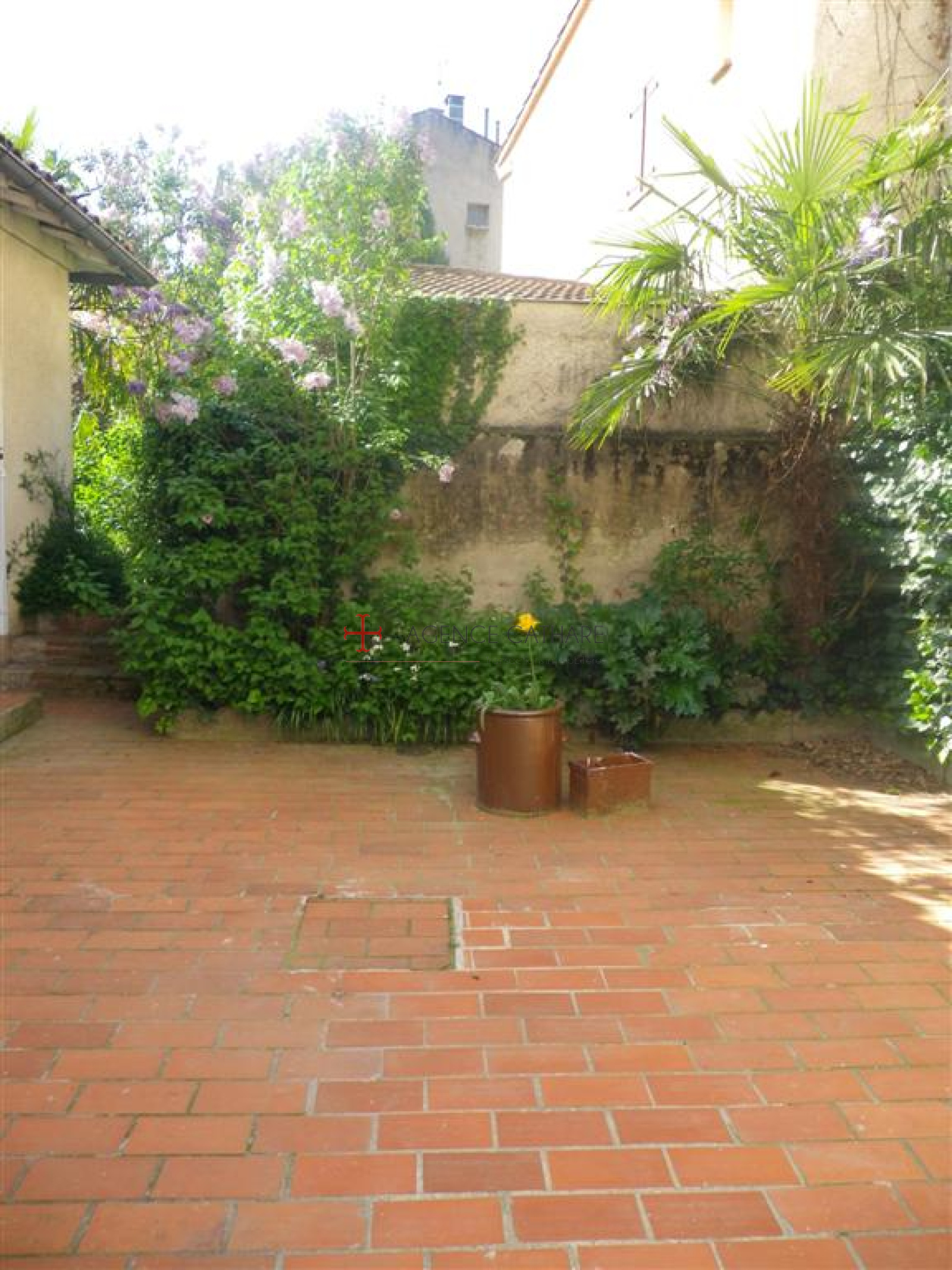 Image_, Maison, Albi, ref :1251