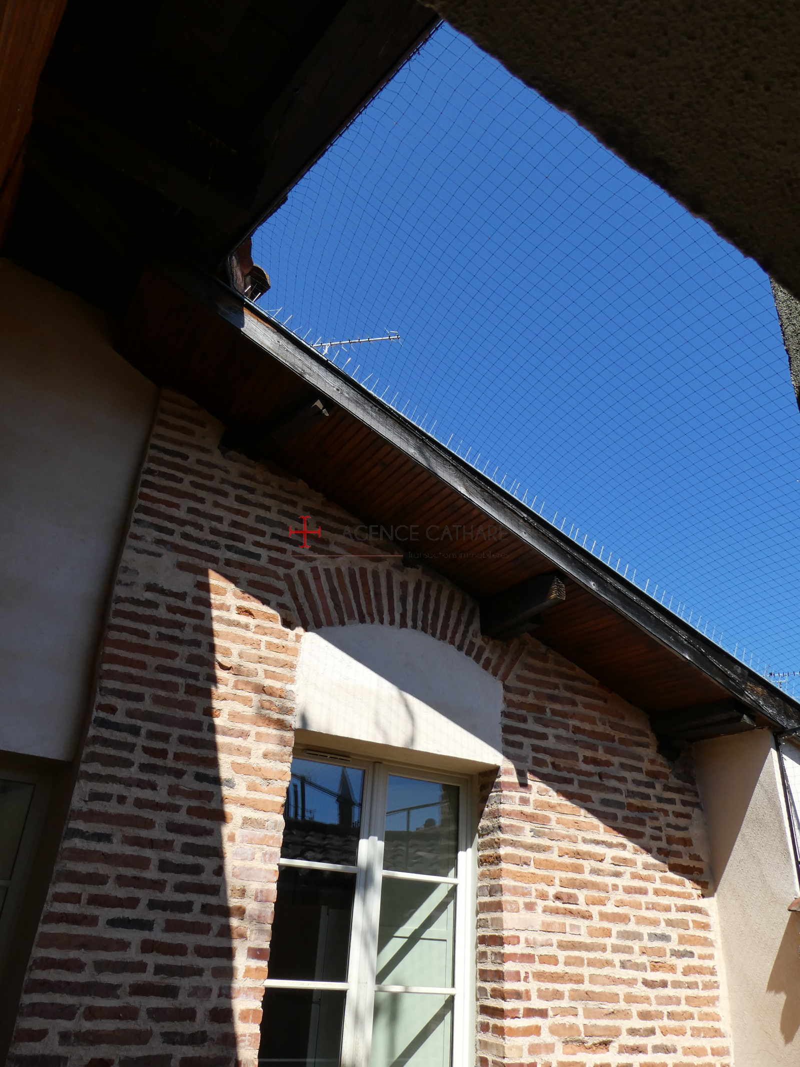 Image_, Appartement, Albi, ref :5462